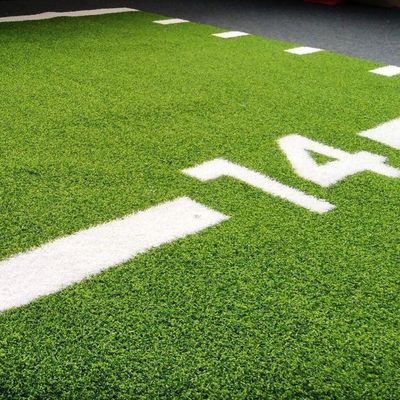 Dorelom Fitness Газовый ковер Полы Черная Синяя Радуга Синтетическая поддельная трава Спортзал Искусственная трава для фитнеса