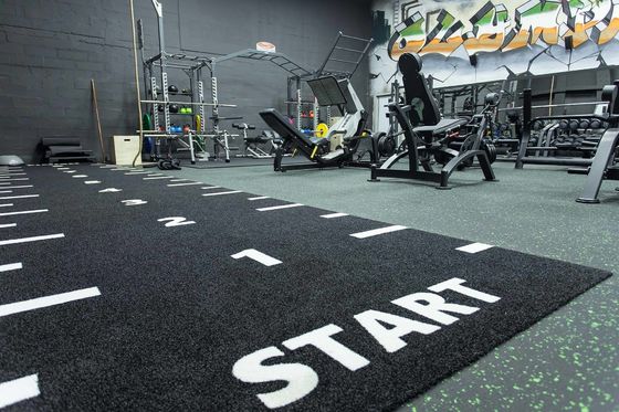 Dorelom Fitness Газовый ковер Полы Черная Синяя Радуга Синтетическая поддельная трава Спортзал Искусственная трава для фитнеса